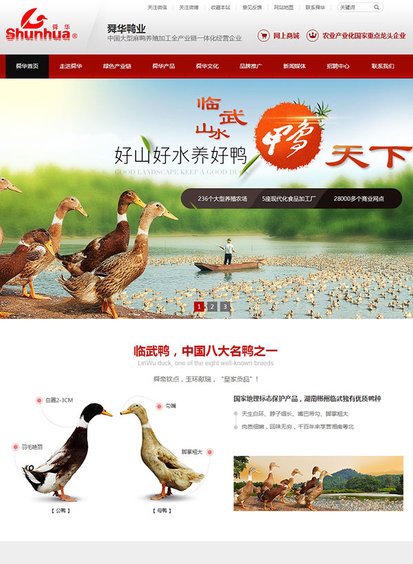 湖南臨武舜華鴨業(yè)營(yíng)銷(xiāo)型網(wǎng)站建設(shè)案例