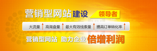 深度網(wǎng)專業(yè)營銷型網(wǎng)站建設(shè)助力您的企業(yè)倍增利潤