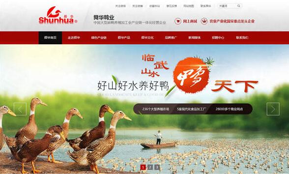 湖南臨武舜華鴨業(yè)營(yíng)銷(xiāo)型網(wǎng)站案例